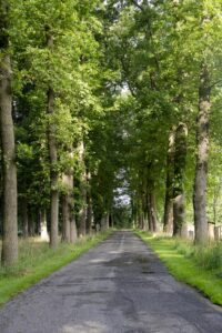 http://Omgeving%20-%20Bonkert%20Buiten