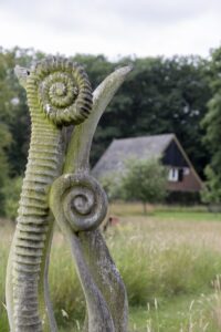 omgeving - Bonkert Buiten