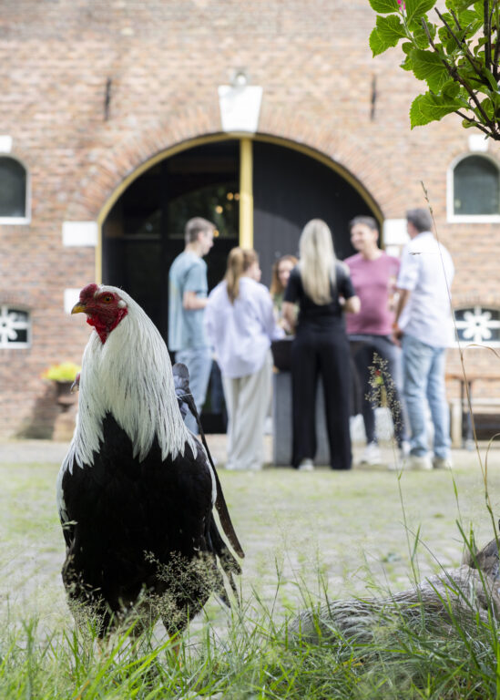 Klant aan het woord: een training bij Bonkert Buiten