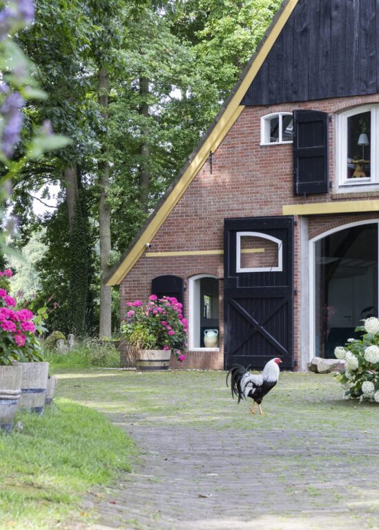Meerdaagse retreat organiseren in de natuur? Wij regelen de rest.